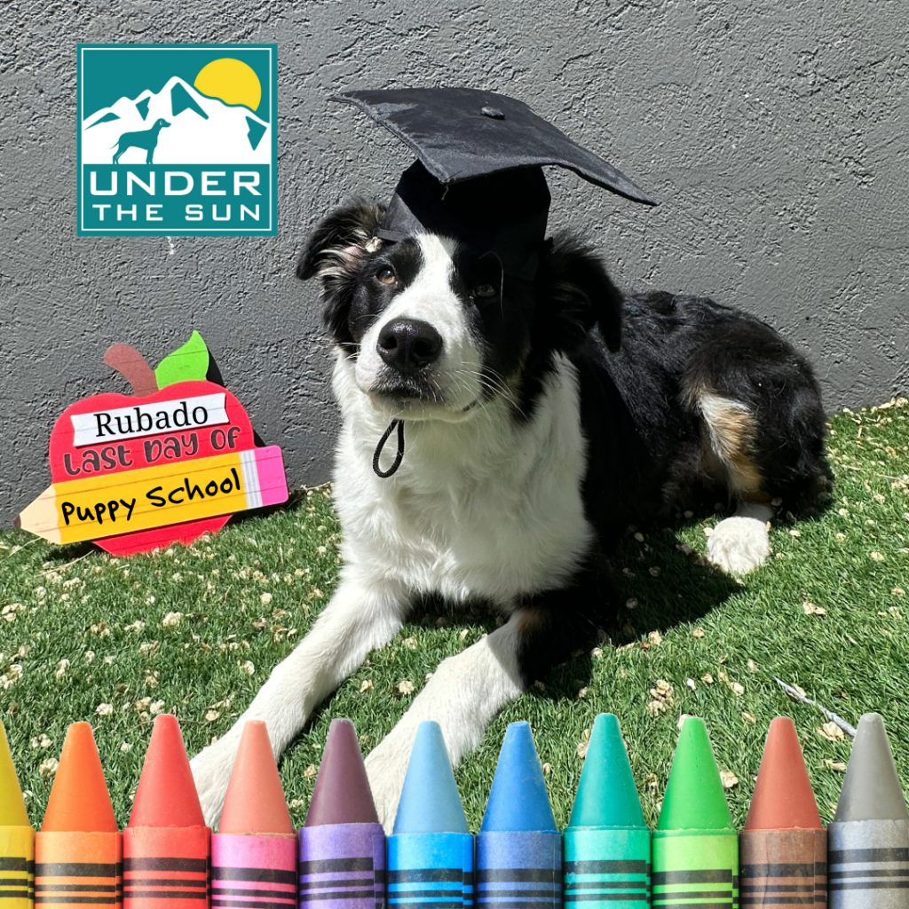 Rubado grad pic