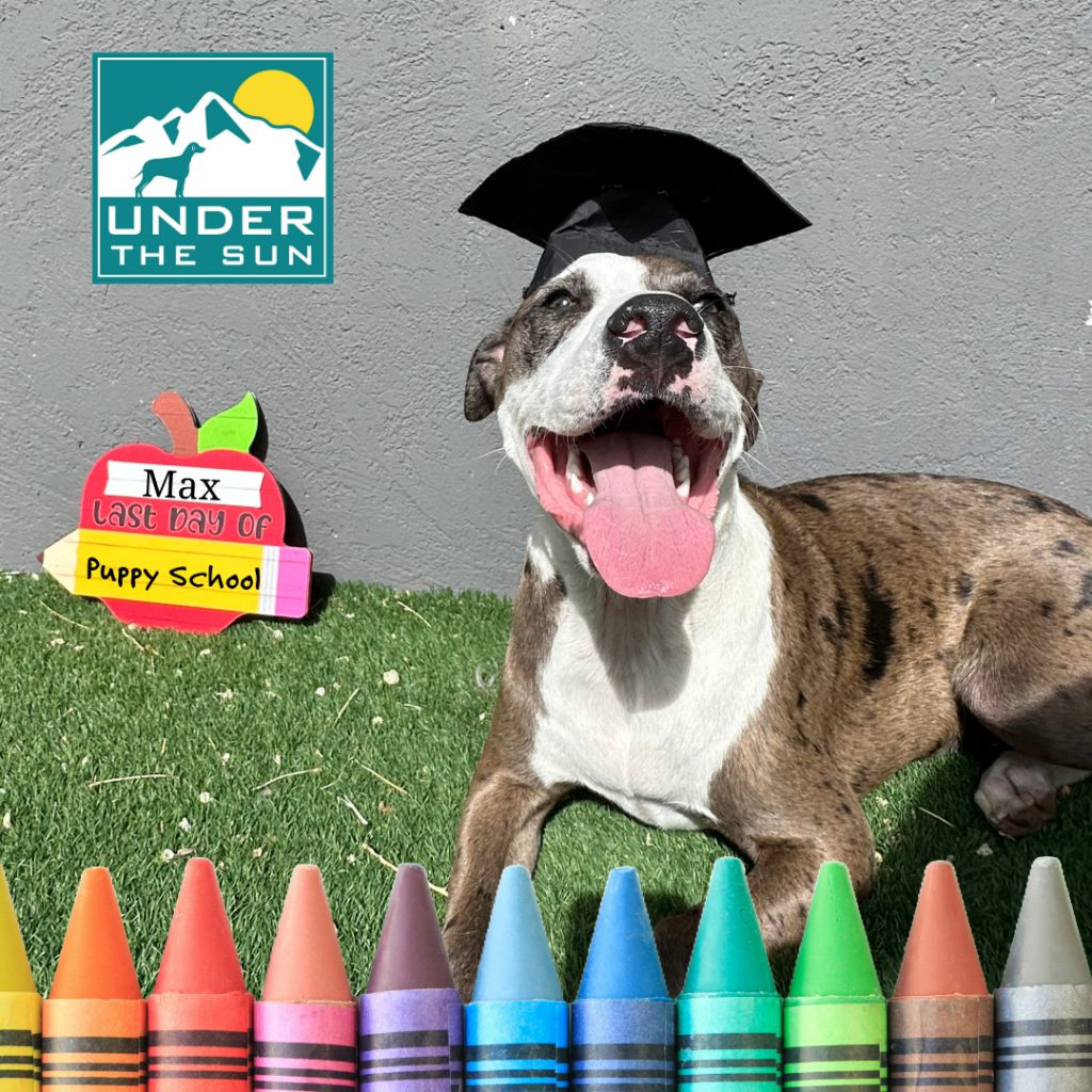 max grad pic 1