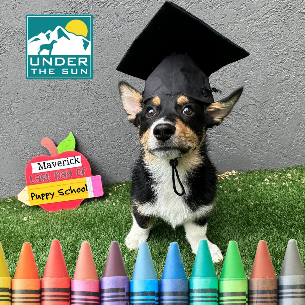 Maverick grad