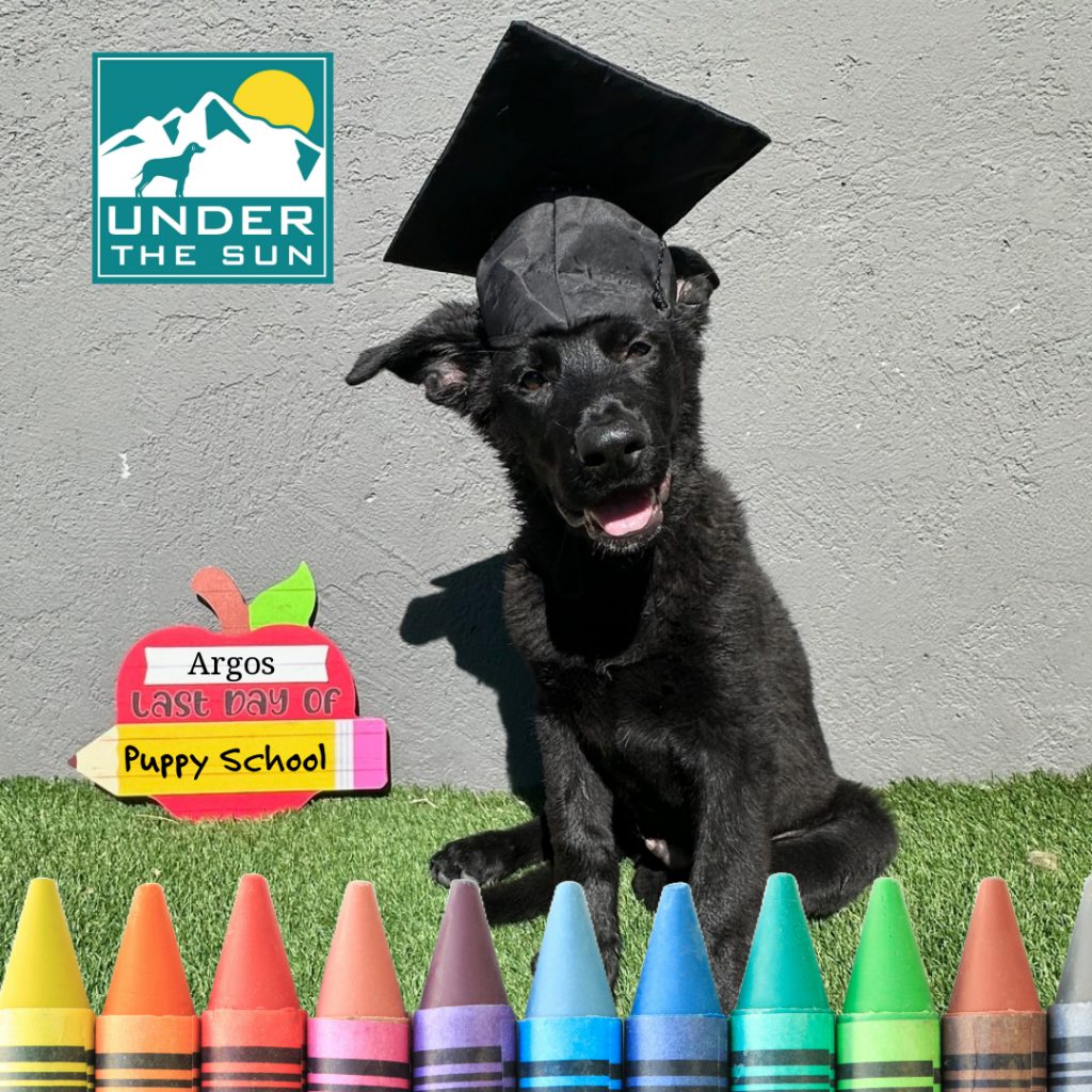 Argos grad