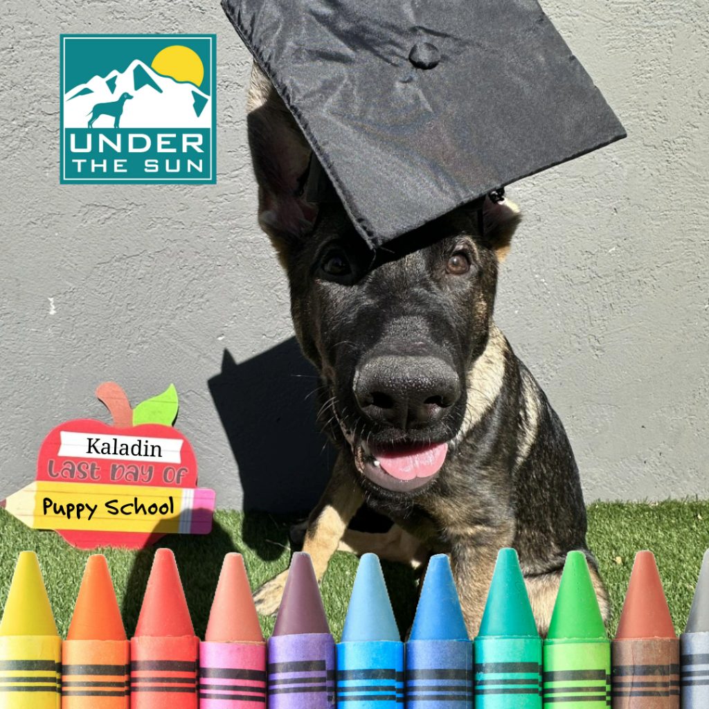 Kaladin grad