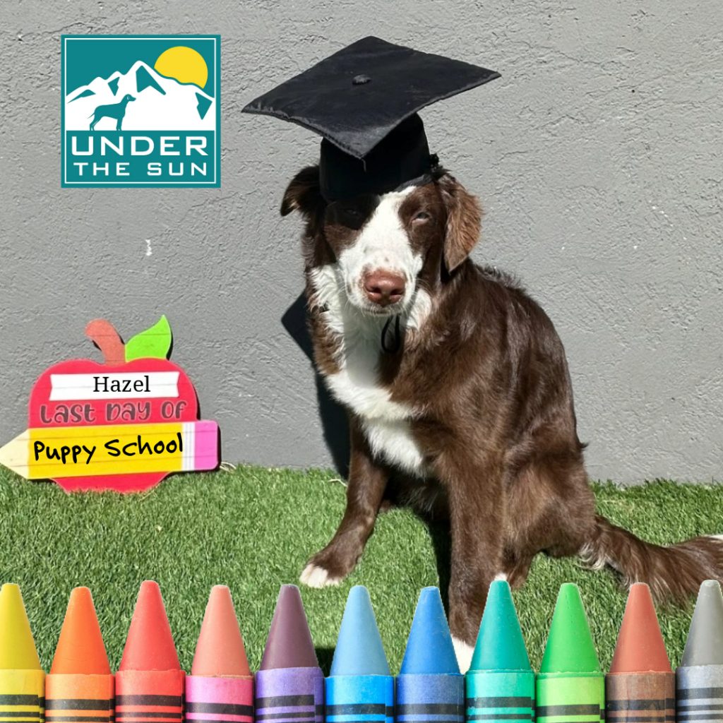 hazel grad