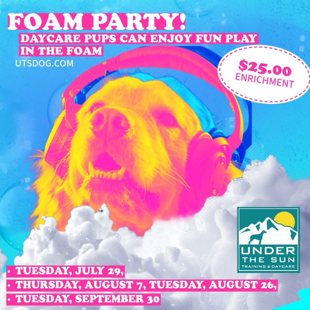 Foam Party 2025 3