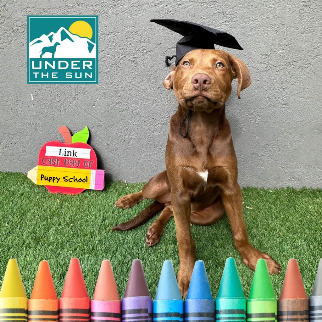 Link grad 1