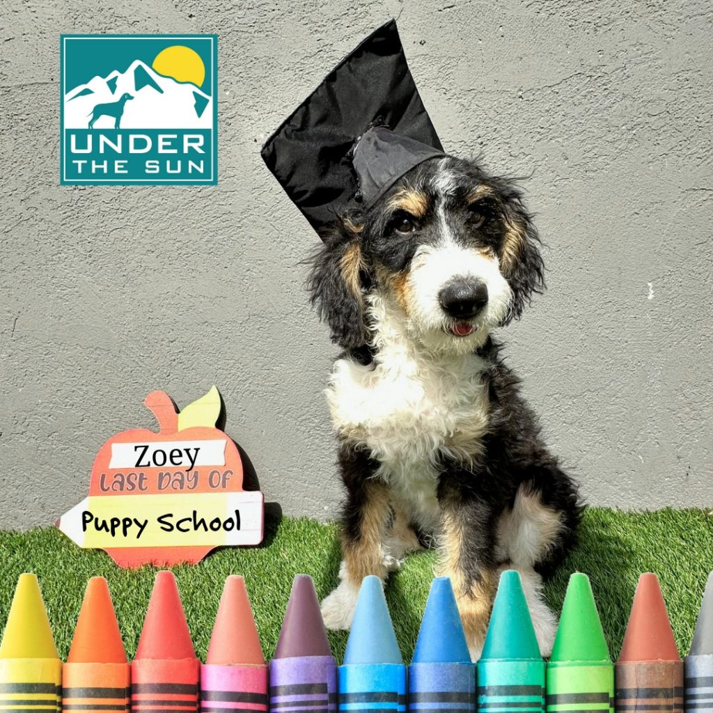 Zoey grad