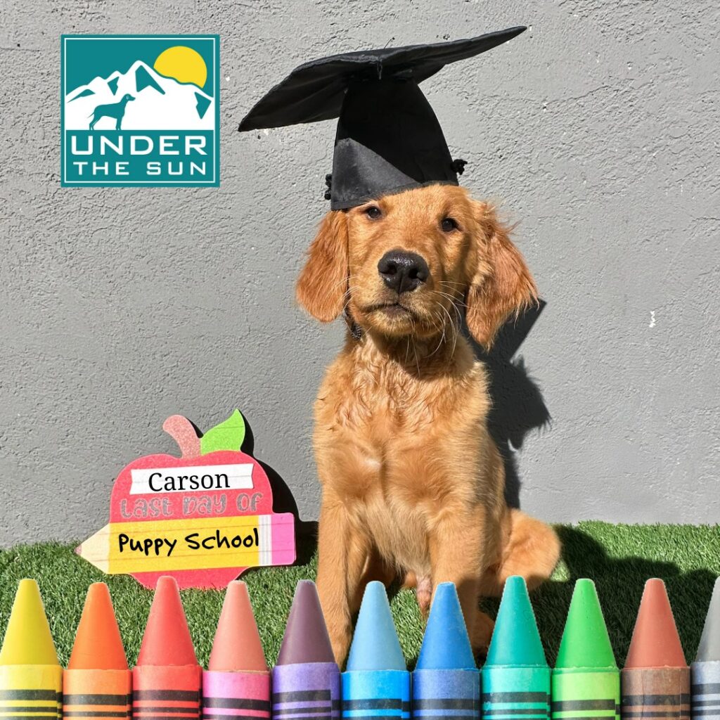 Carson grad