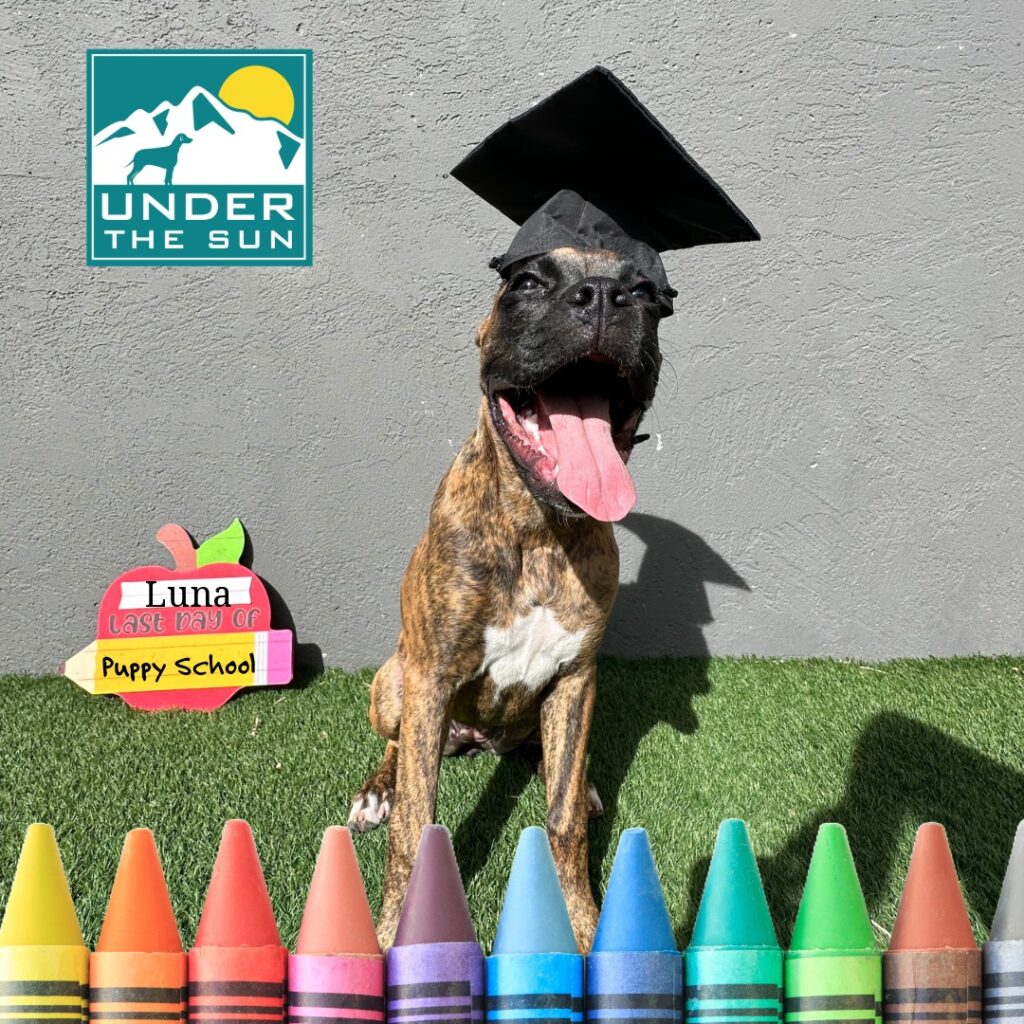 Luna grad