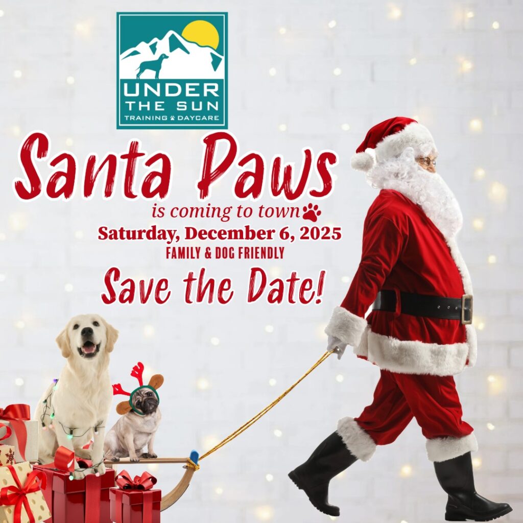 Santa Paws 2025 save the date