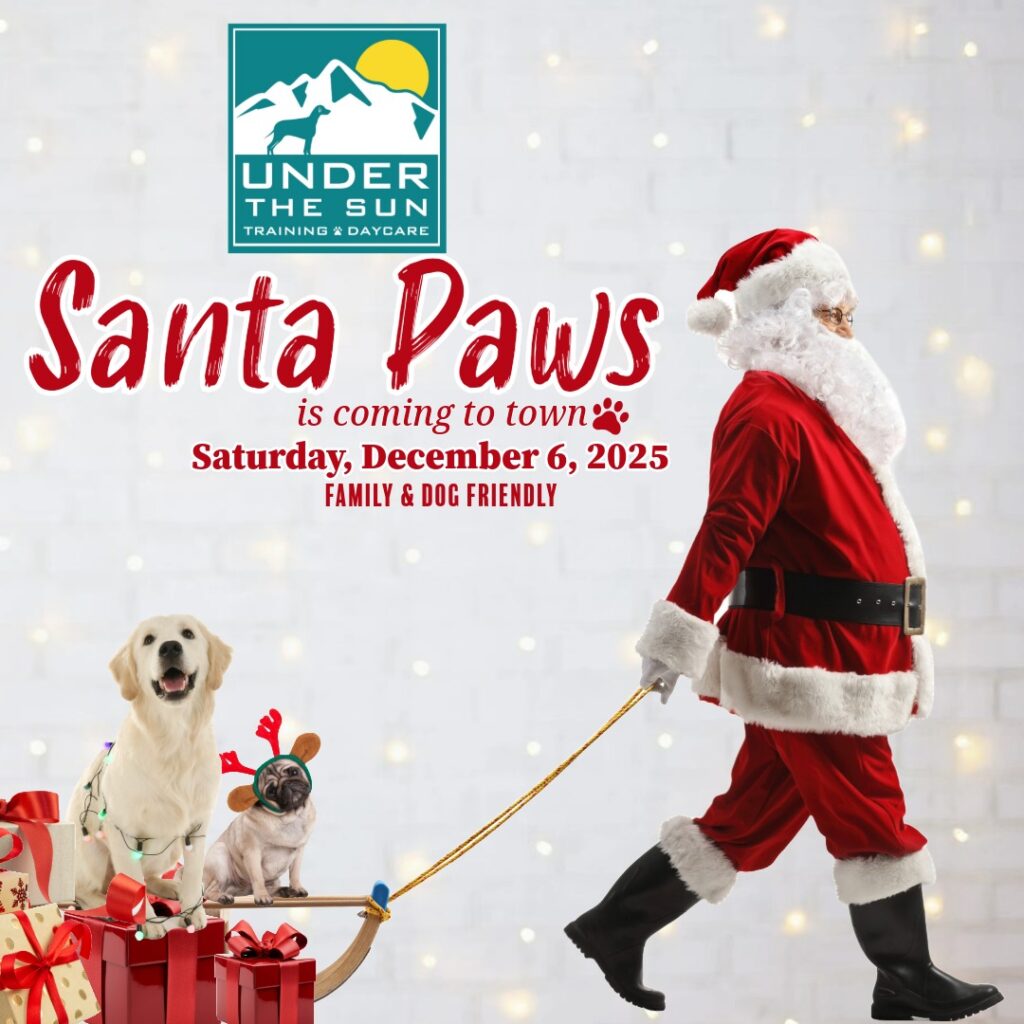 Santa Paws 2025