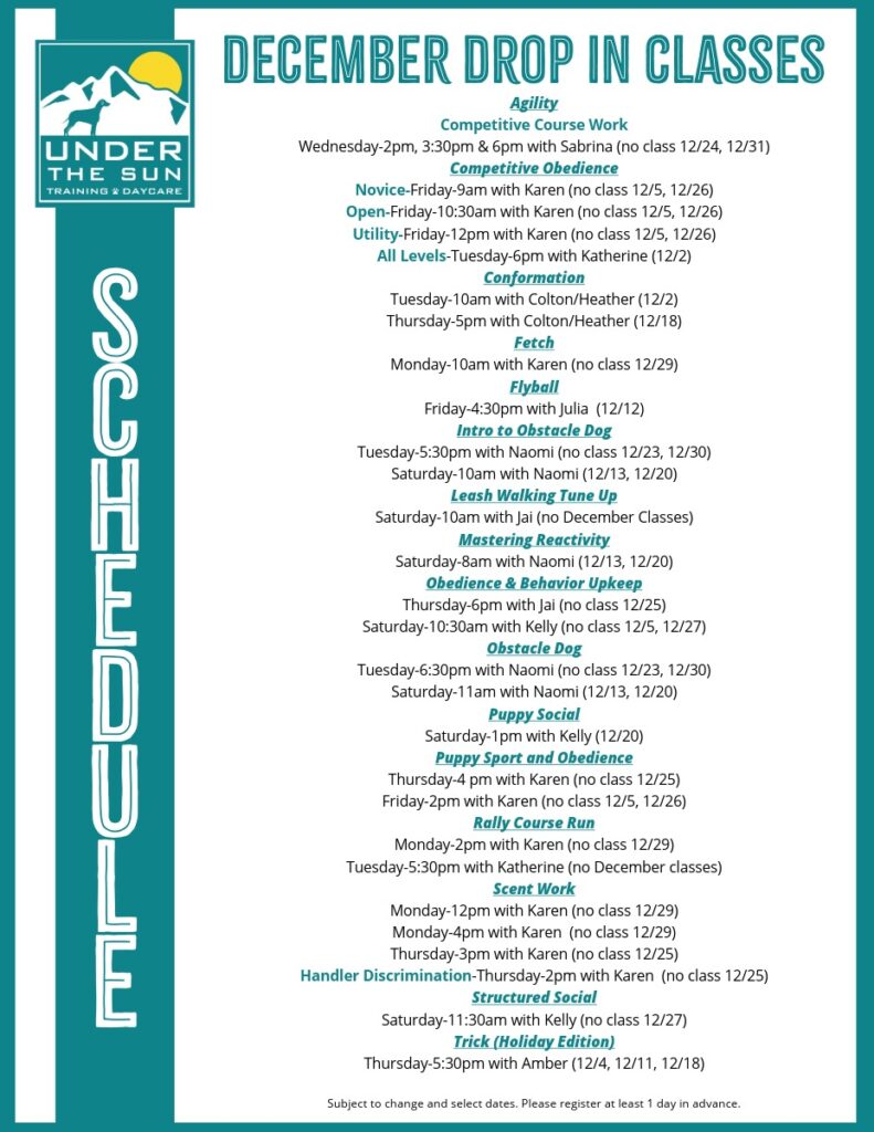 drop in classes december