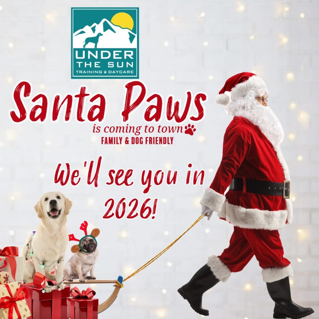 Santa Paws 2025 next yea
