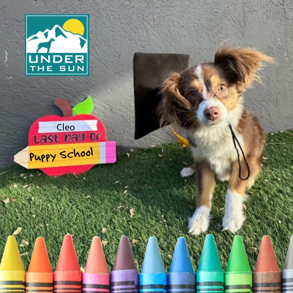 original FC6CF1D7 8E13 4F5E BBA9 F4E3A71FA61E