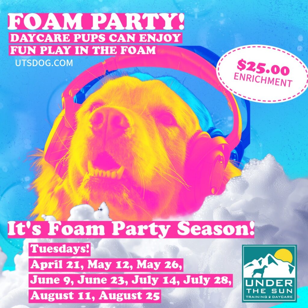 Foam Party 2026