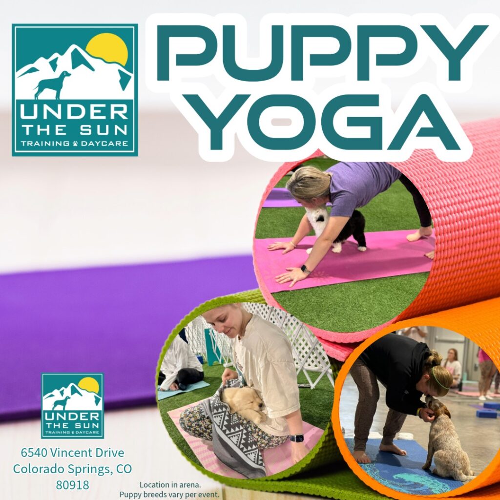 Puppy Yoga social April 11 1