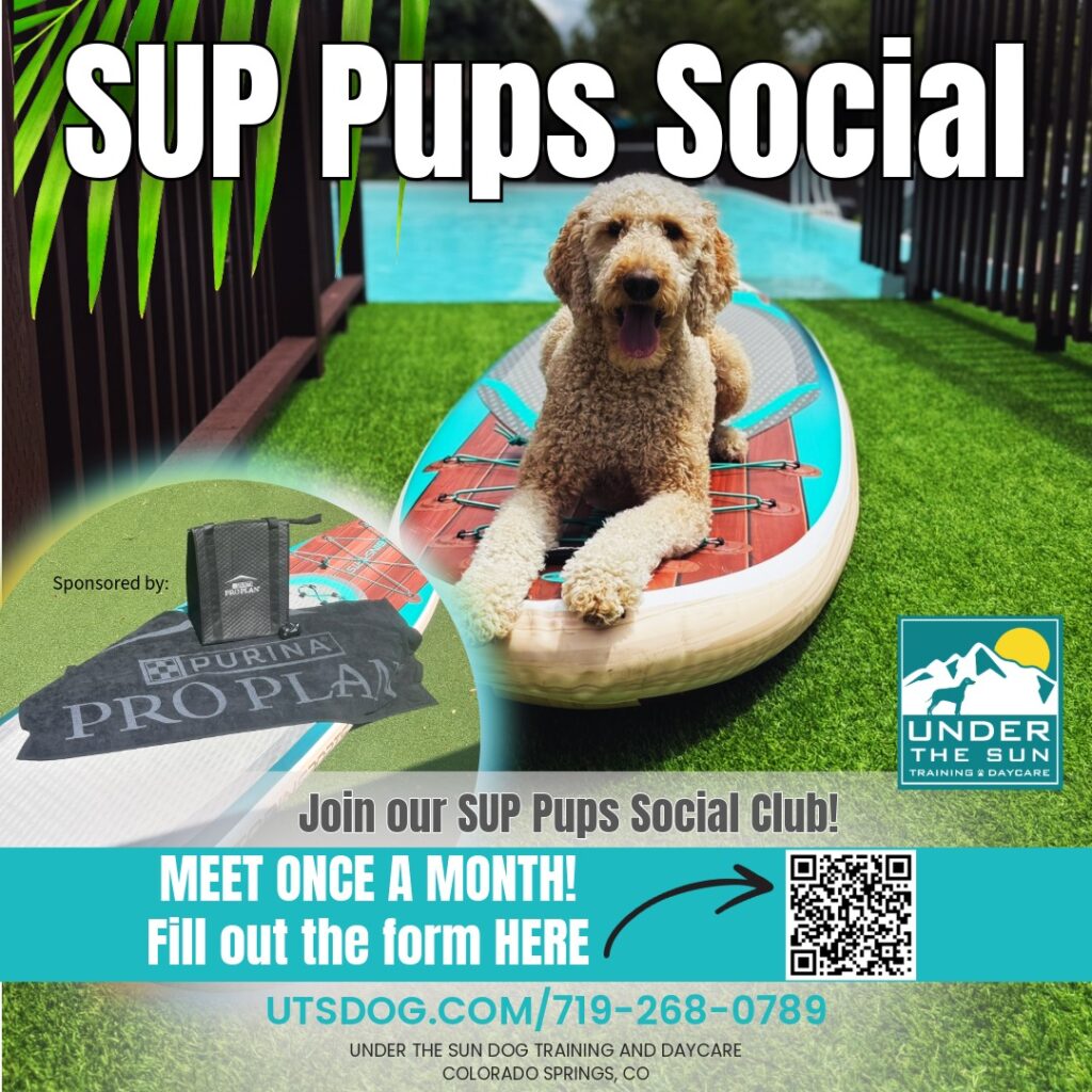 SUP Pups Social social