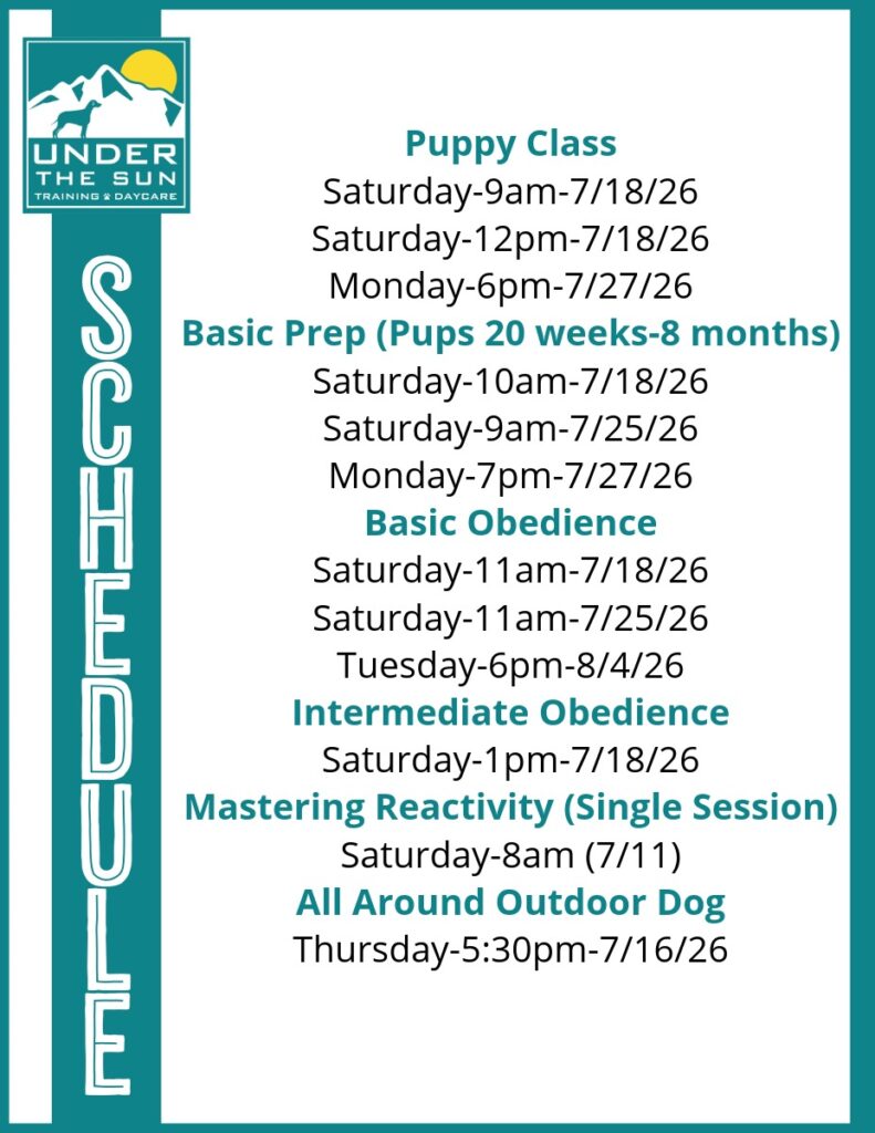 Training Schedule july
