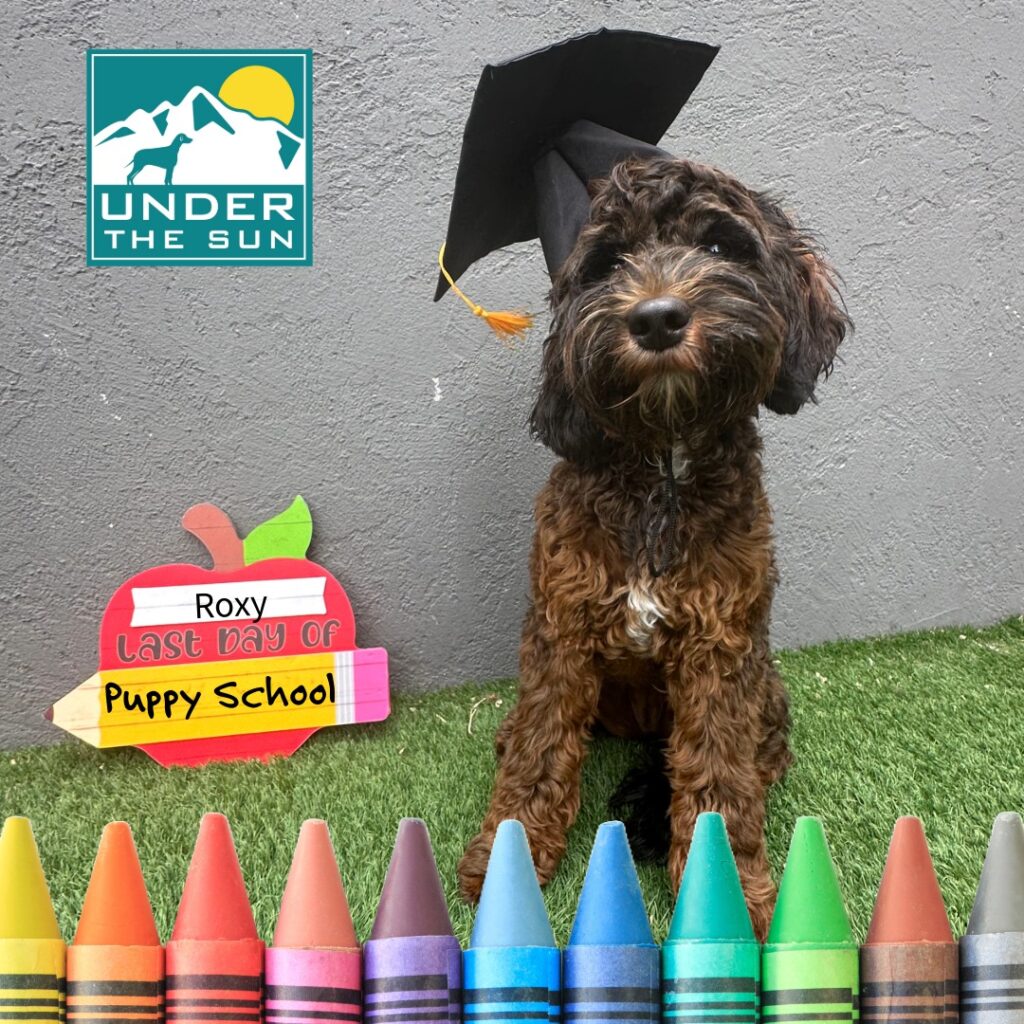 roxy grad