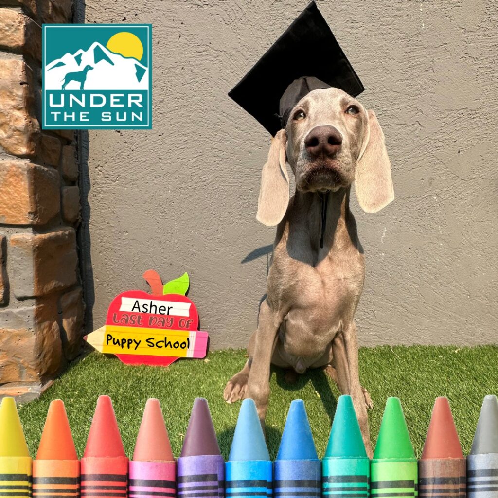Asher grad