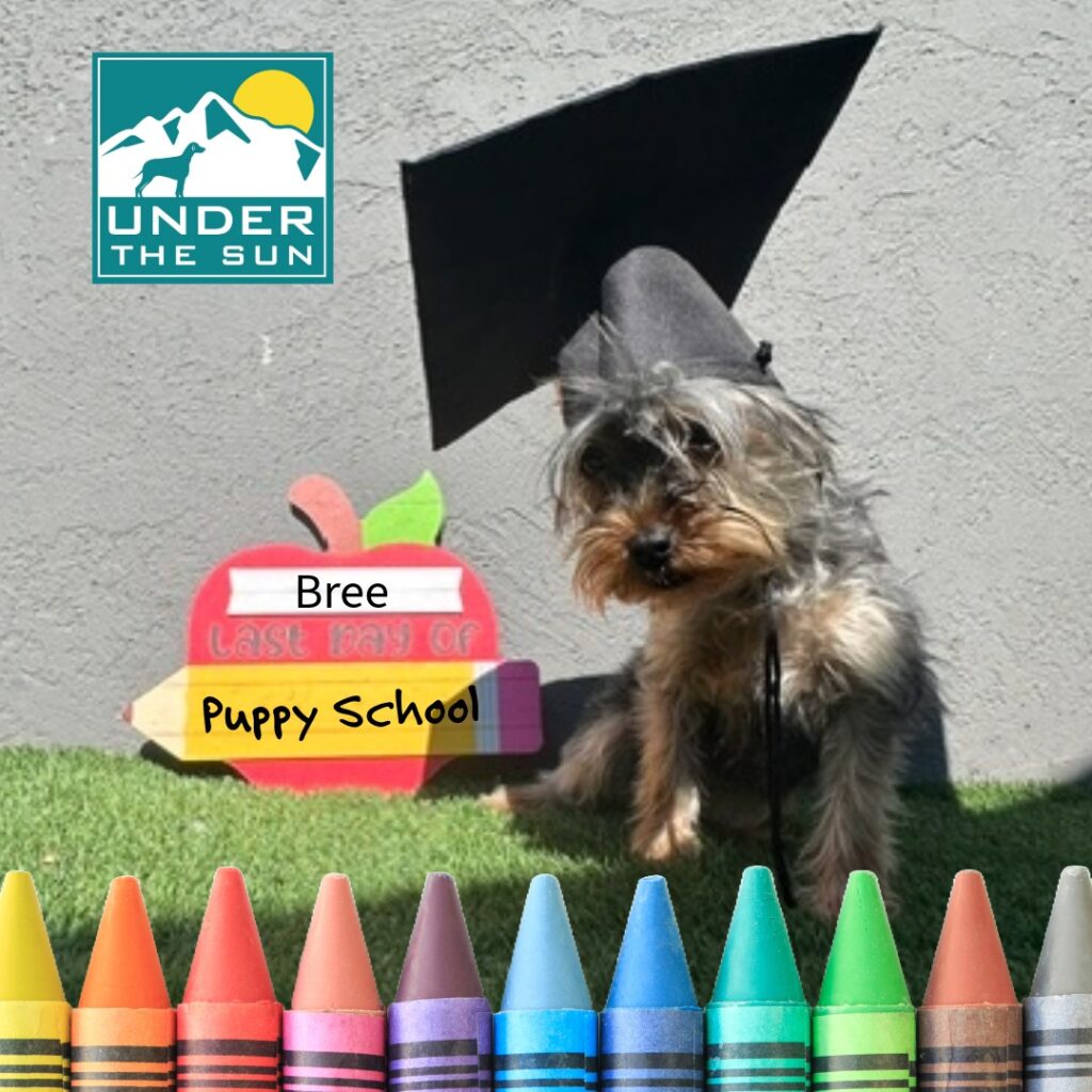 Bree grad