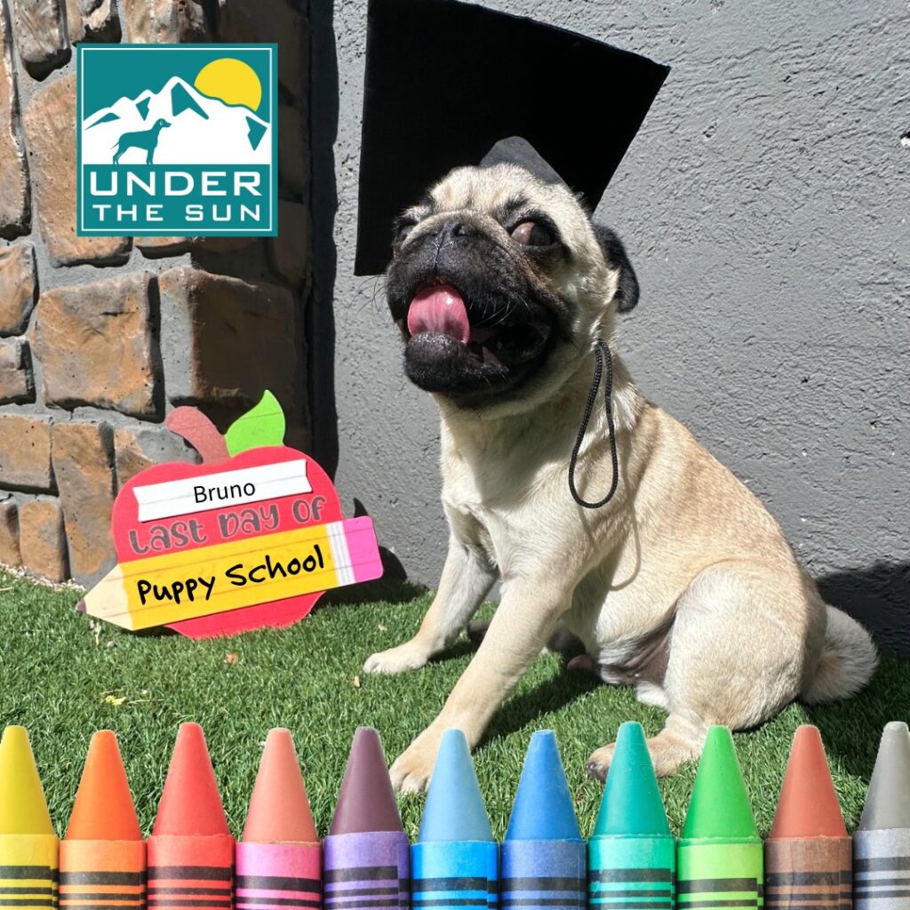 Bruno grad