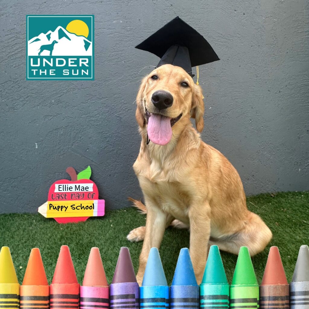 Ellie Mae grad