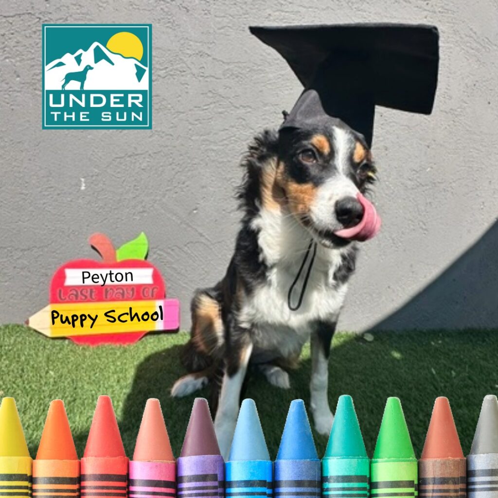 Peyton grad
