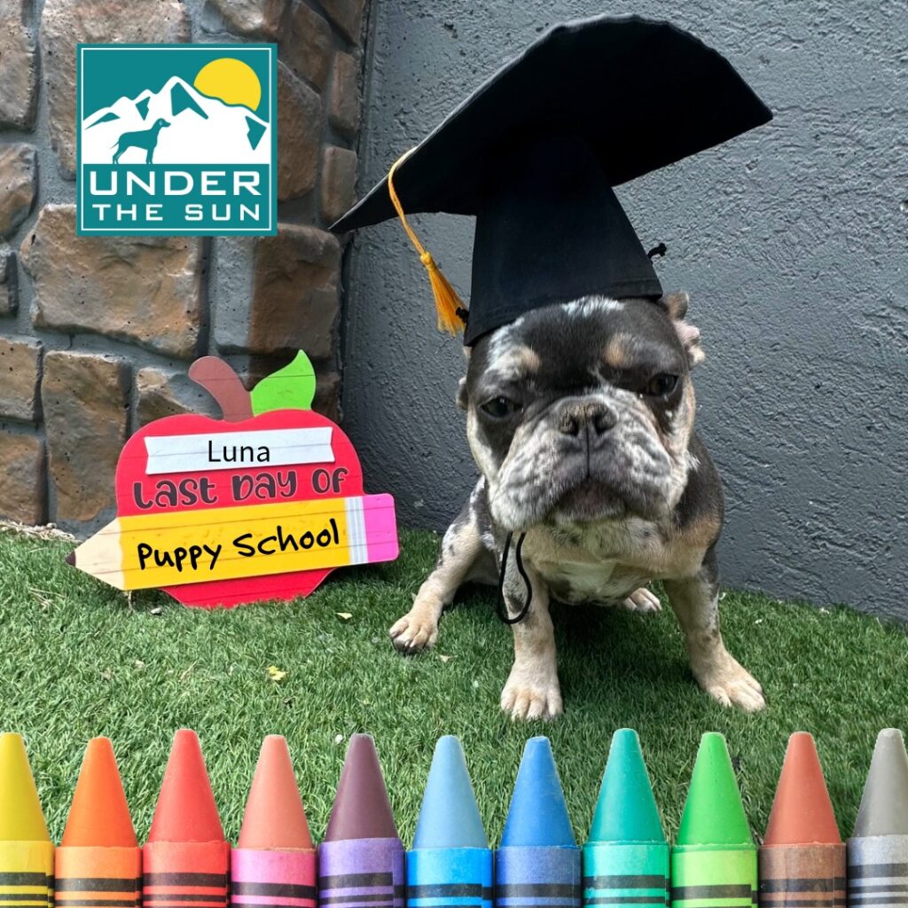 luna grad 1