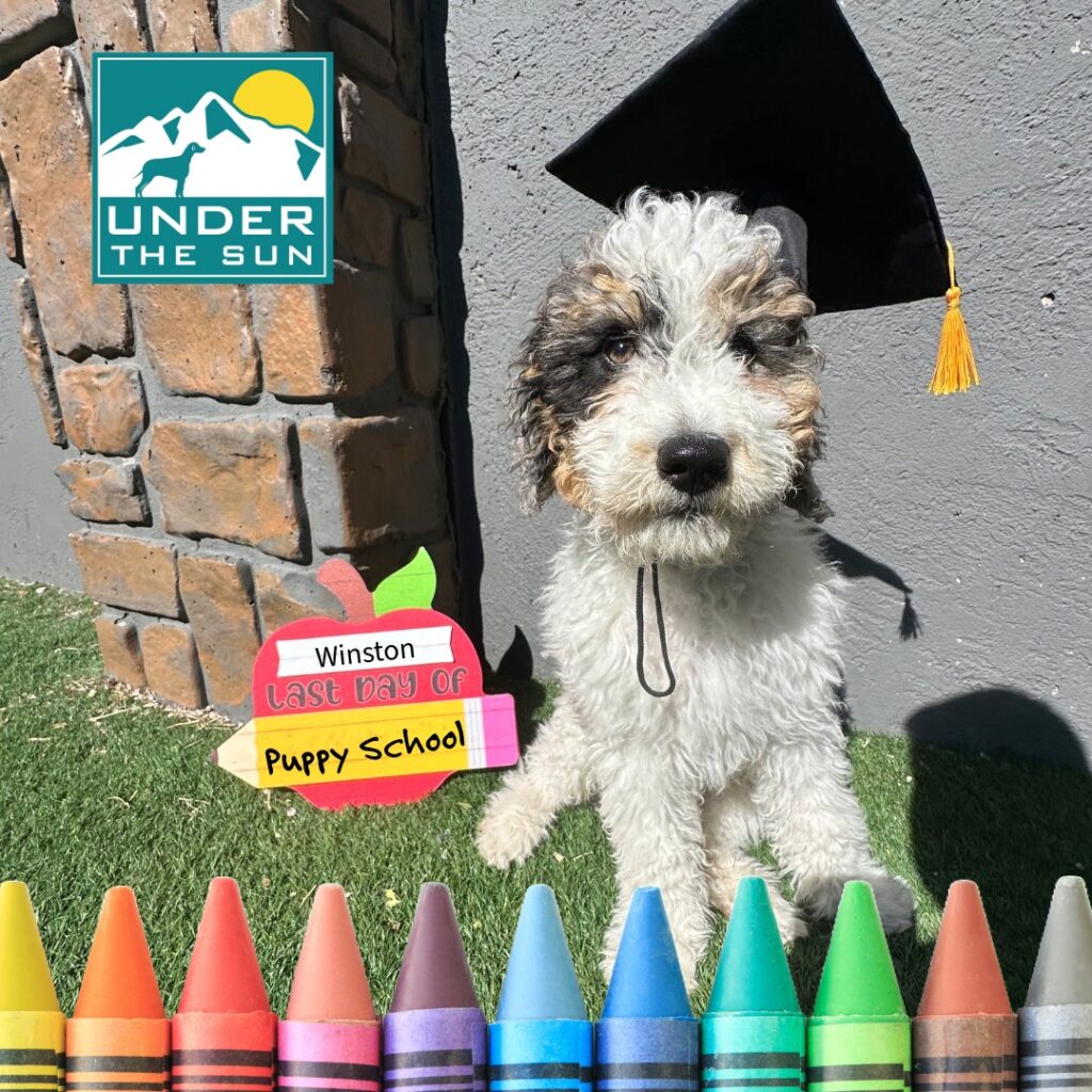 winston grad 2
