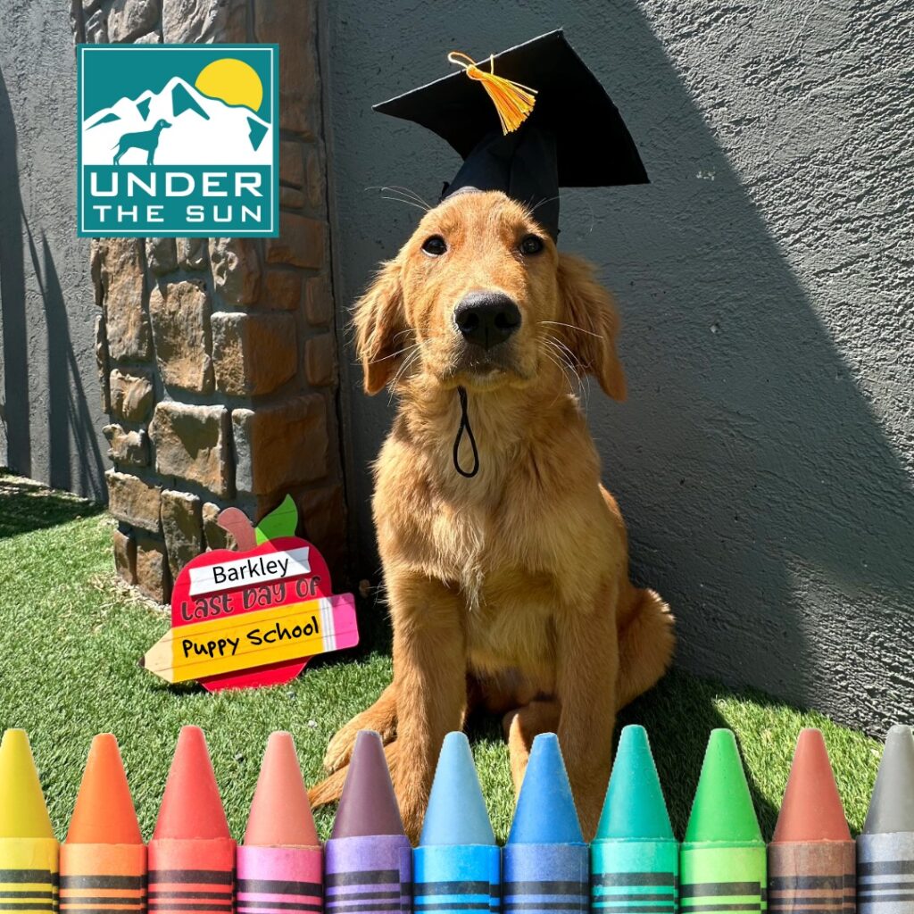 Barkley Grad 2