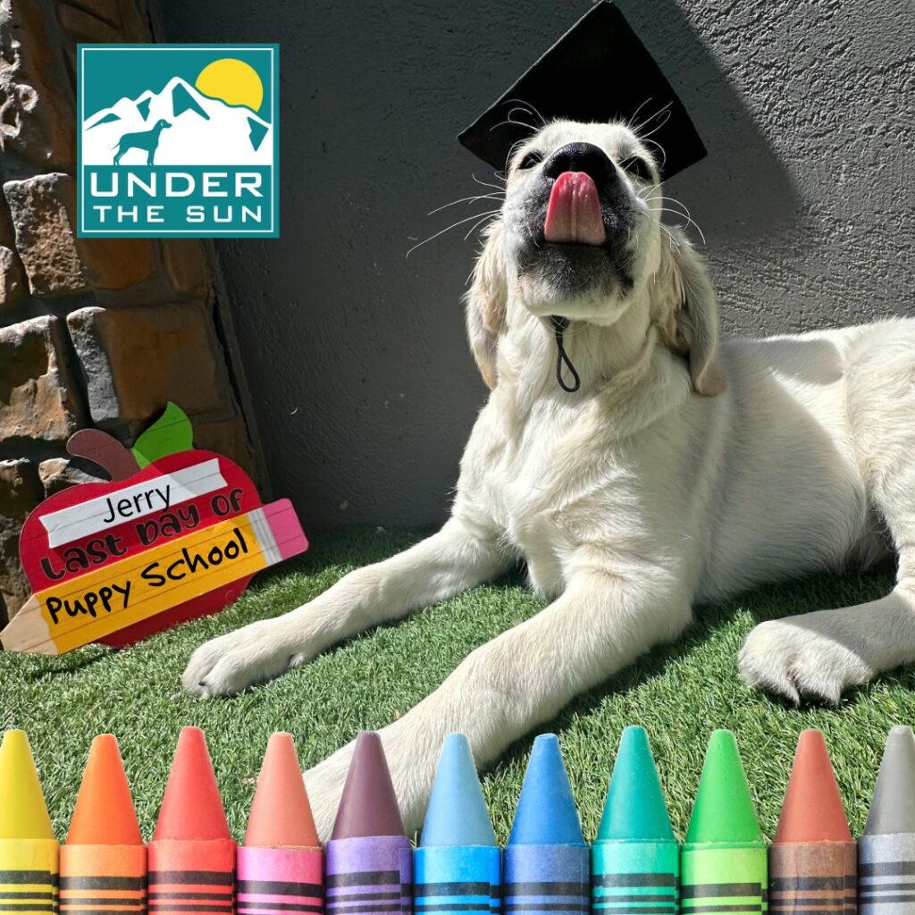 Jerry Grad 1