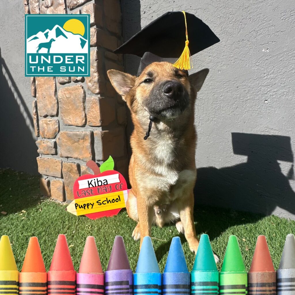 Kiba Grad