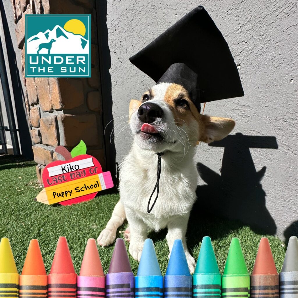 Kiko Grad 1
