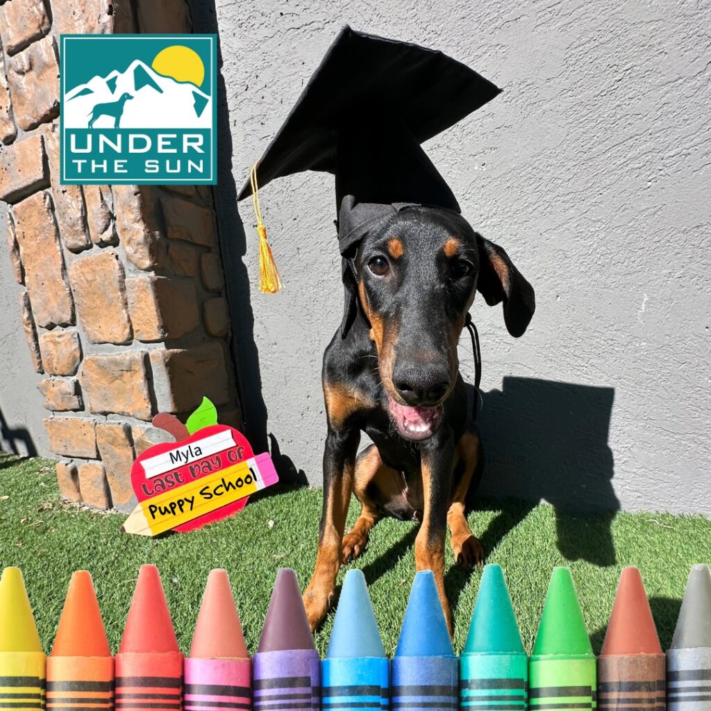 Myla Grad 1
