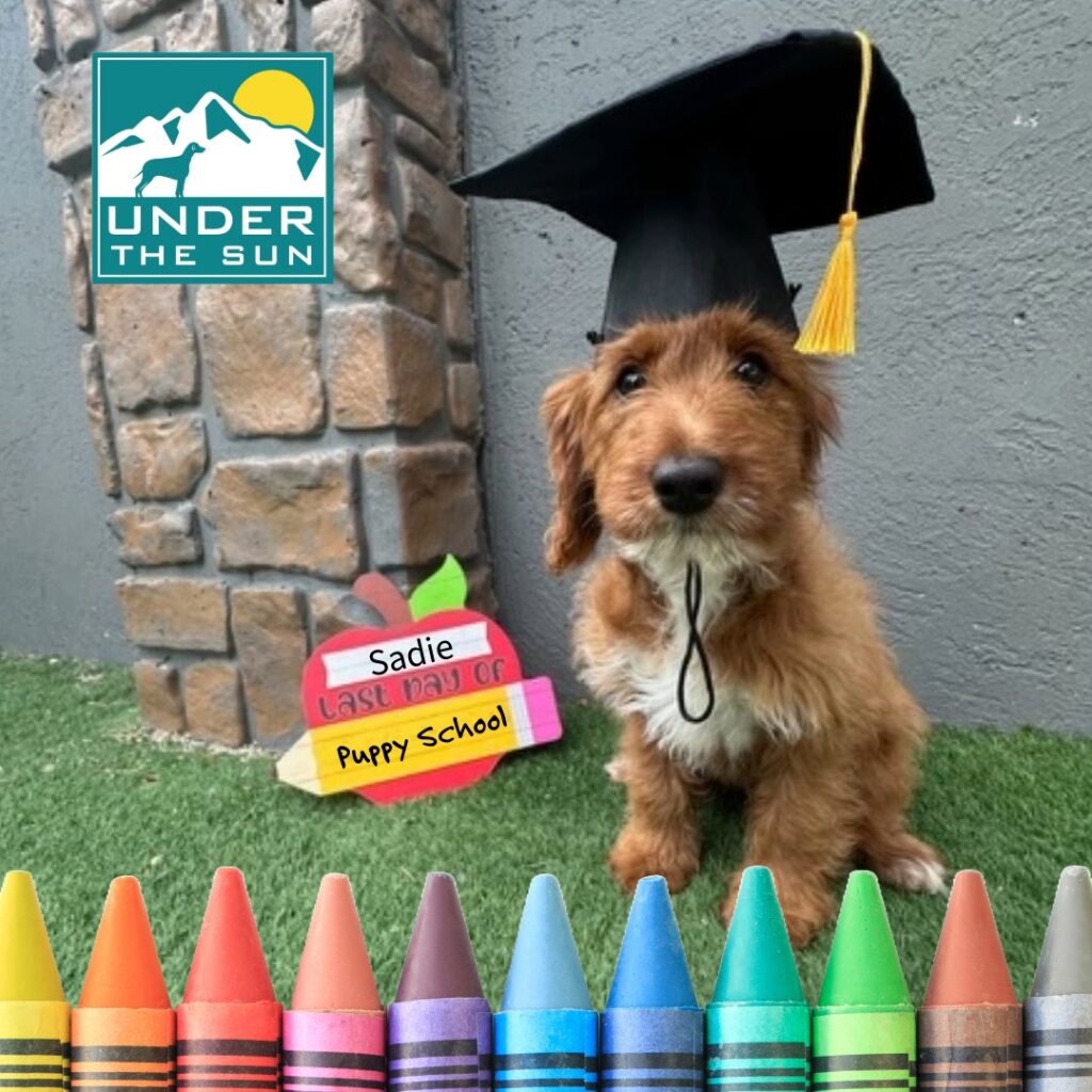 Sadie Grad