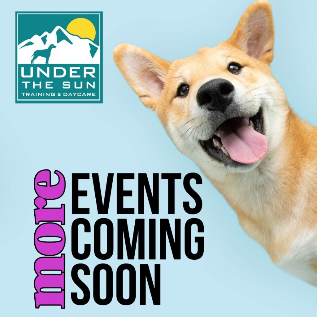 more events coming soon