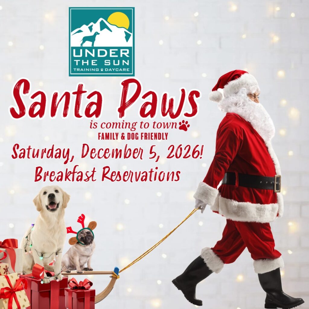 Santa Paws 2025 next yea 1 2